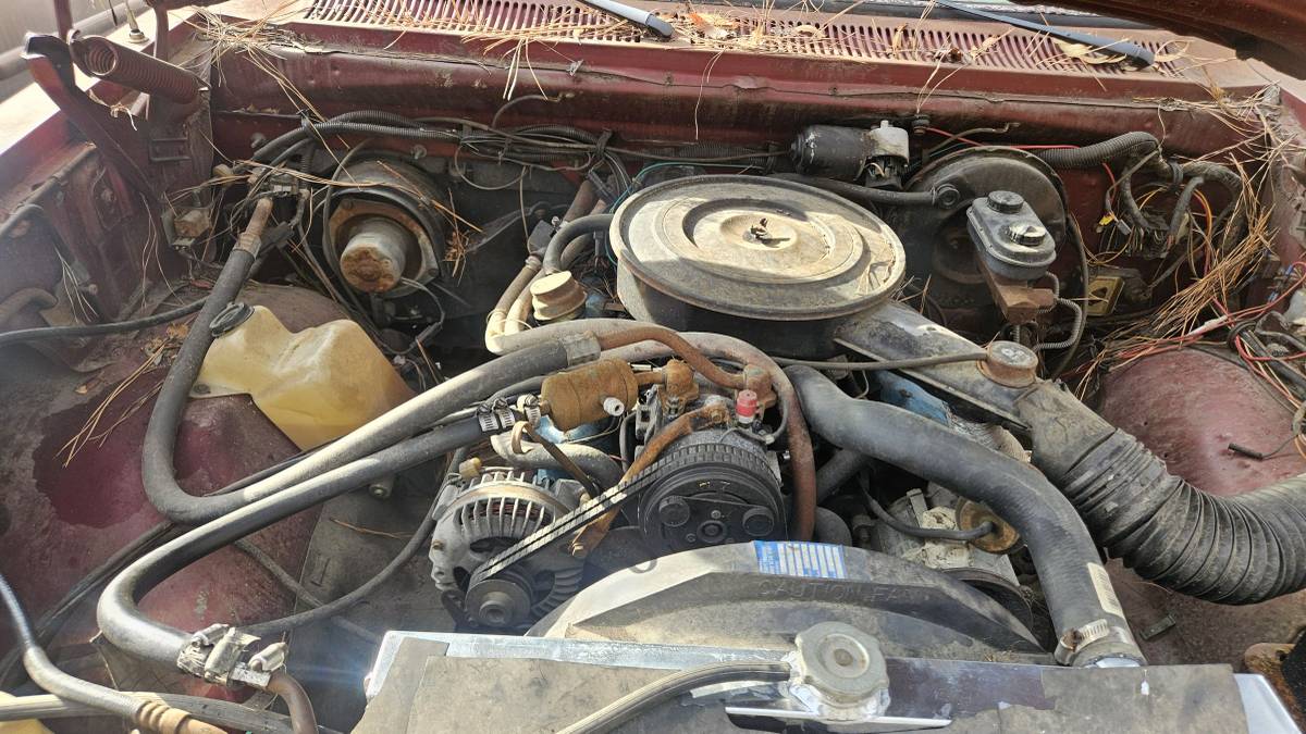 Dodge-ram-b-150-1985-custom-5