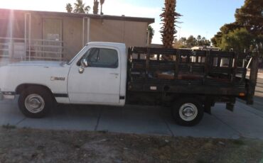 Dodge-ram-d100-1988-white-8