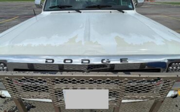 Dodge-ram-diesel-1992-white-4