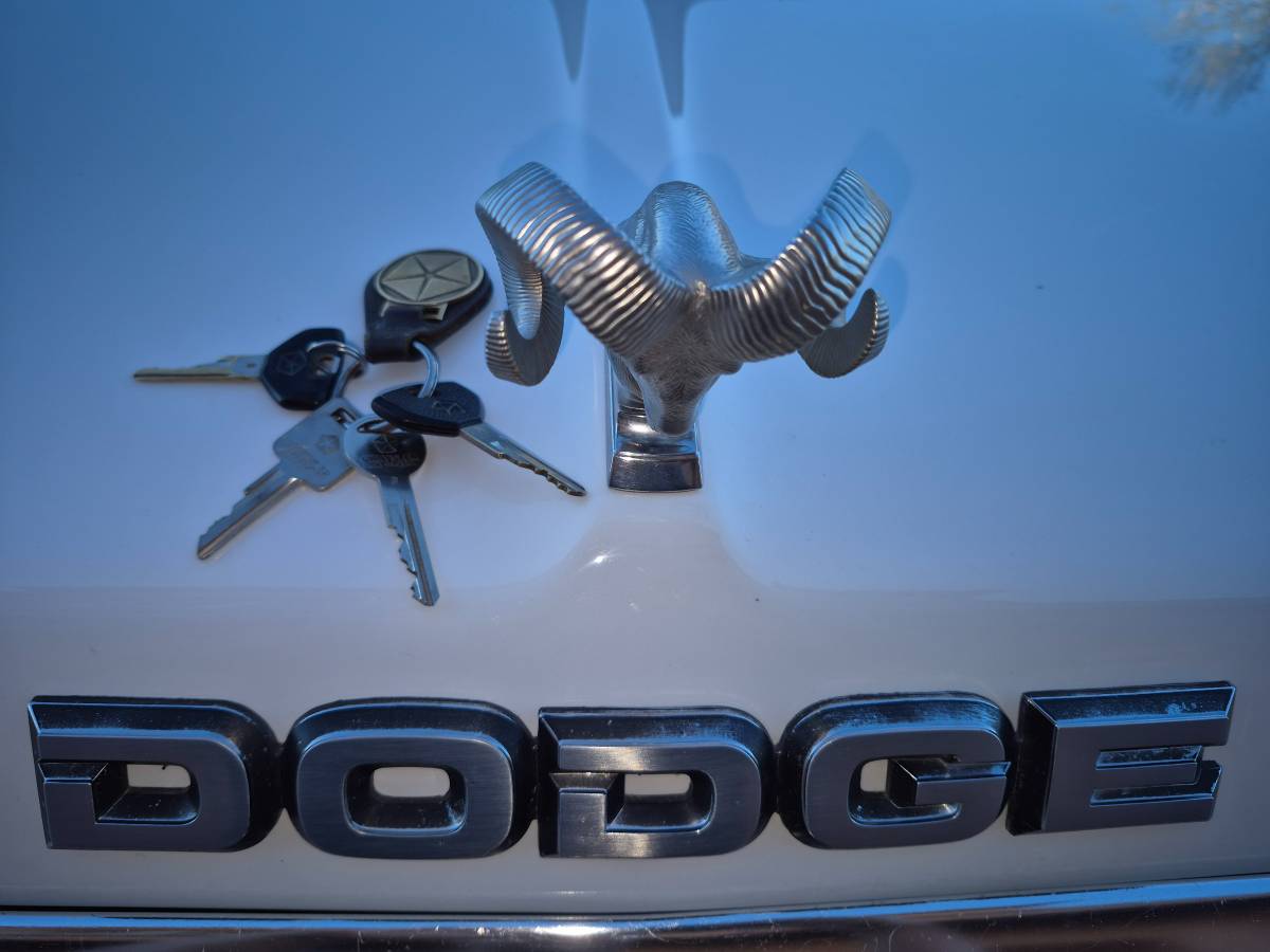 Dodge-ramcharger-150-1989-white-3