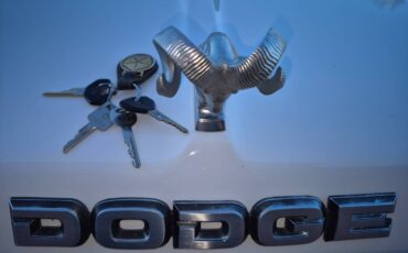 Dodge-ramcharger-150-1989-white-43