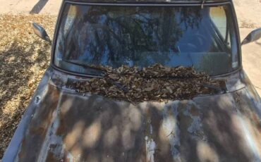 Dodge-ramcharger-1989-blue-14