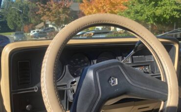 Dodge-w-series-power-150-job-rated-1988-blue-21