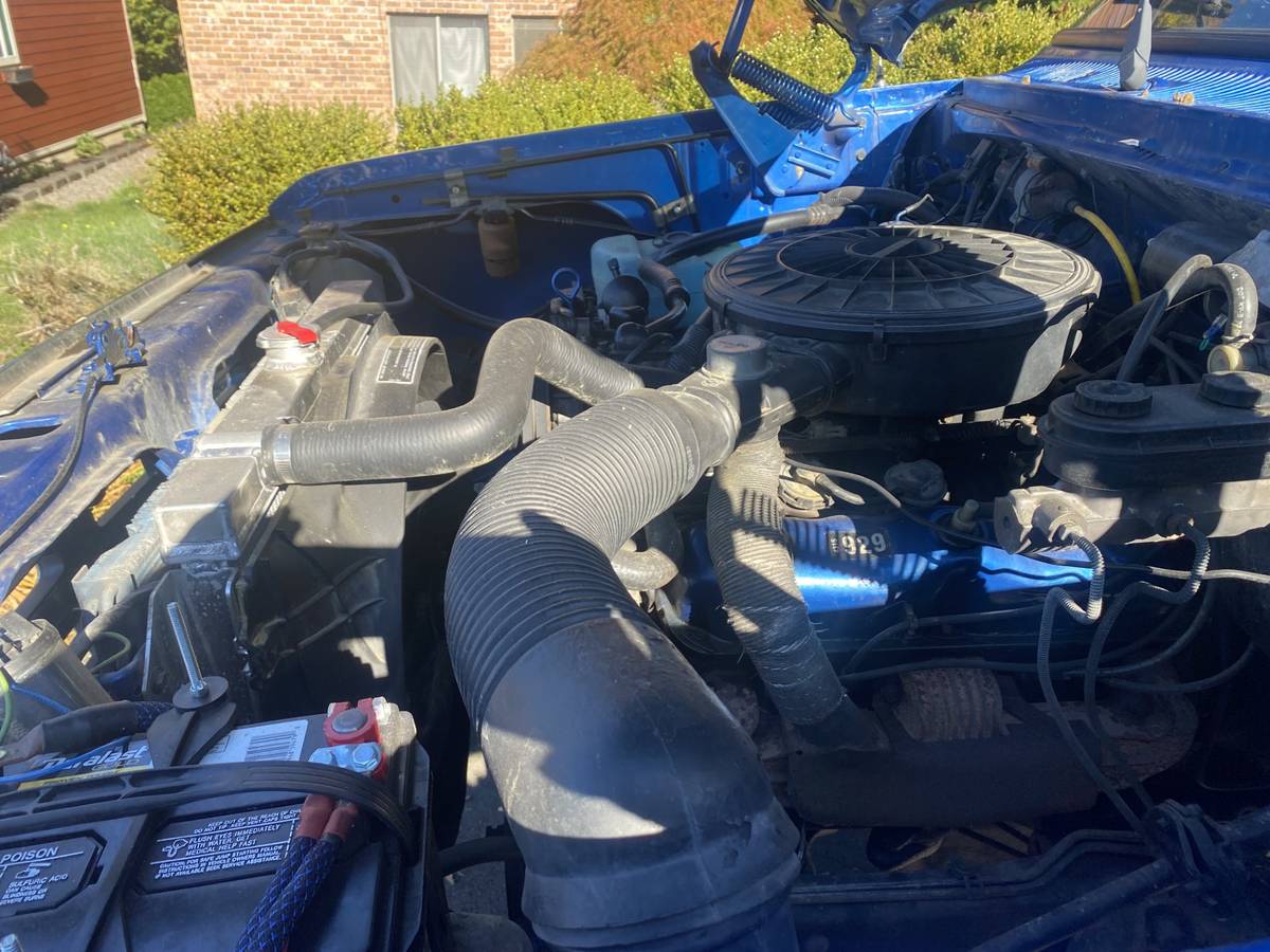 Dodge-w-series-power-150-job-rated-1988-blue-38