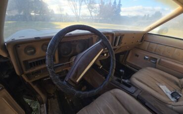 El-camino-1977-custom-5