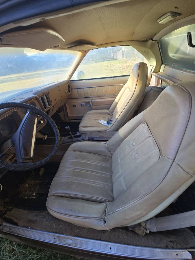 El-camino-1977-custom-6