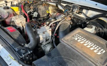 F350-western-hauler-diesel-1996-white-6