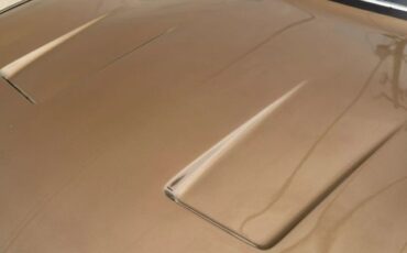 Ferrari-365TC4-1972-Coupe-12