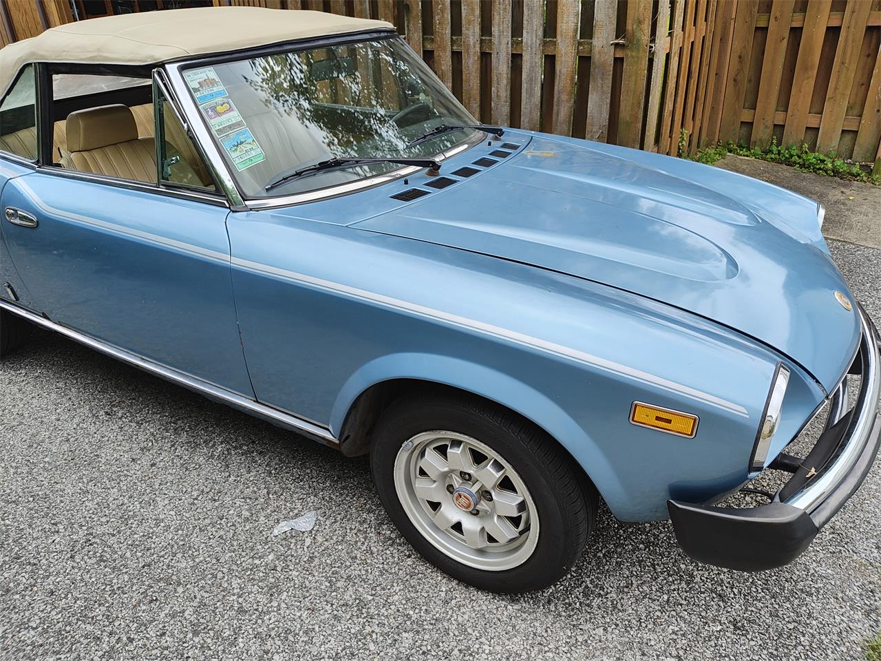 Fiat-124-spider-2000-1981-Light-blue-Beige-3