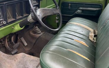 Fird-f250-1973-green-5