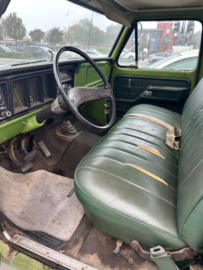 Fird-f250-1973-green-5
