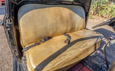 Ford-12-ton-pickup-1949-Black-Tan-9