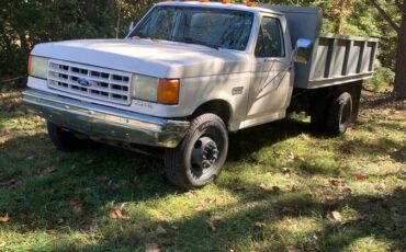 Ford-450-superduty-dump-truck-diesel-1988-white-2