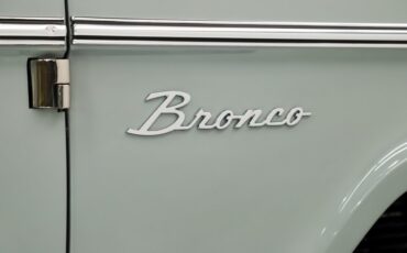 Ford-Bronco-1974-Cactus-Gray-Gray-3
