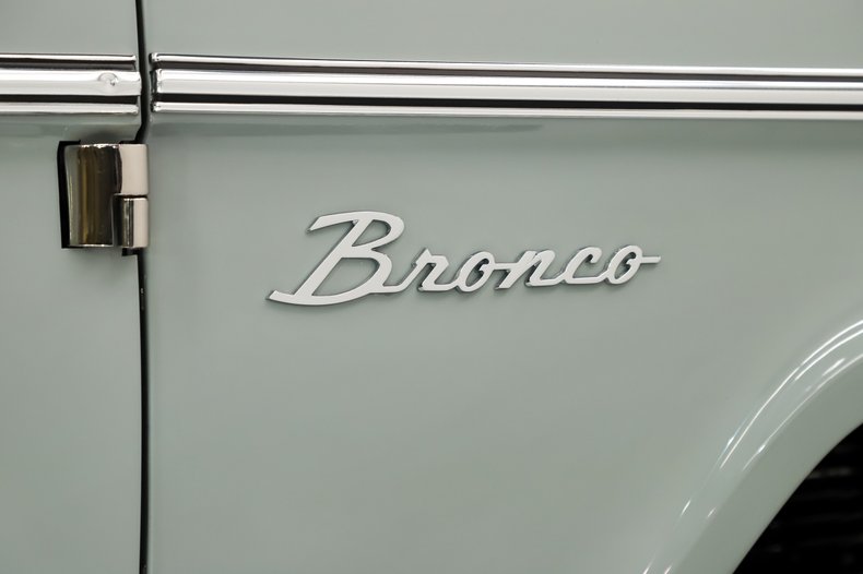 Ford-Bronco-1974-Cactus-Gray-Gray-3