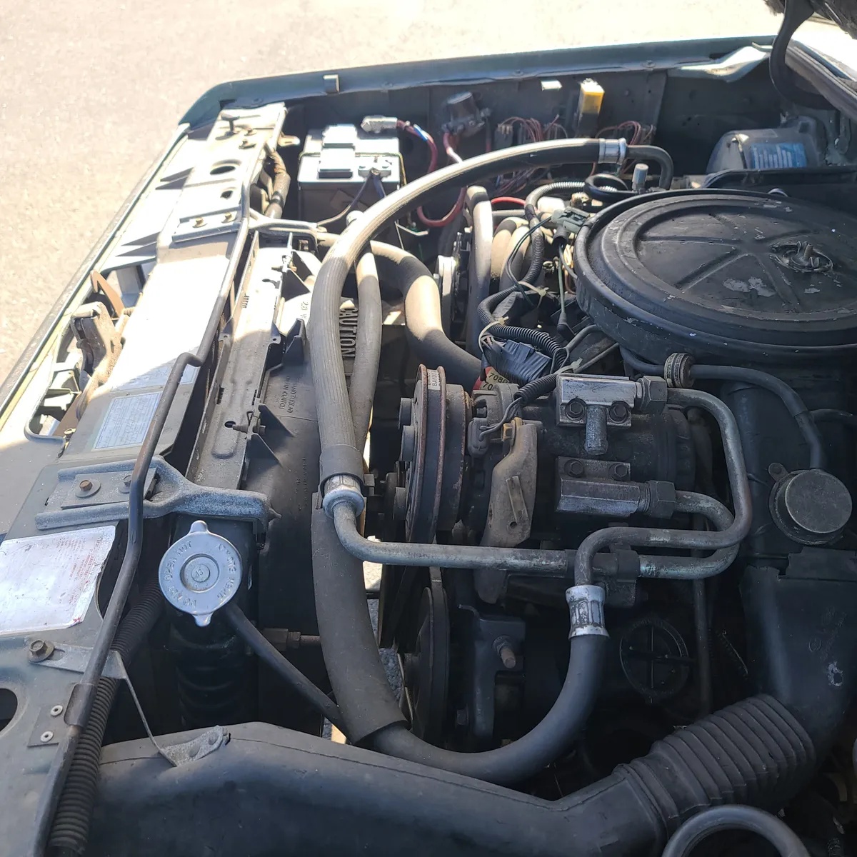 Ford-Bronco-ii-1984-16