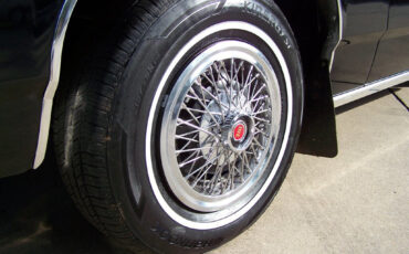 Ford-Crown-Victoria-1981-Coupe-12