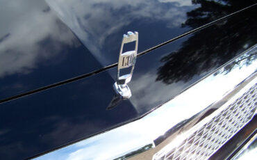 Ford-Crown-Victoria-1981-Coupe-13