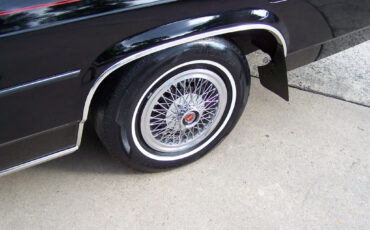 Ford-Crown-Victoria-1981-Coupe-16