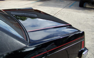 Ford-Crown-Victoria-1981-Coupe-19