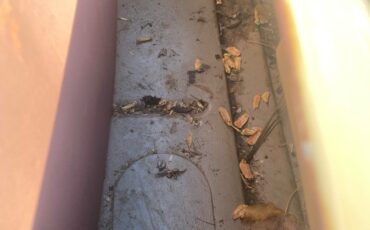 Ford-Deluxe-1935-Convertible-15