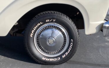Ford-F-100-1965-4