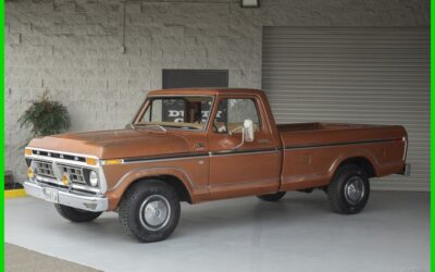 Ford F-150 1977 Other