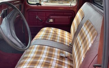 Ford-F-150-1979-Medium-Vegaro-And-Cream-Medium-Vegaro-And-Plaid-11