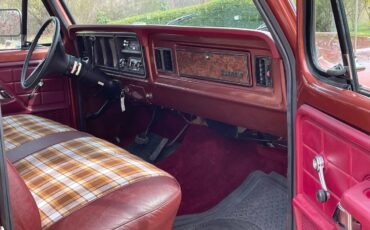 Ford-F-150-1979-Medium-Vegaro-And-Cream-Medium-Vegaro-And-Plaid-12
