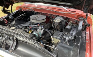 Ford-F-150-1979-Medium-Vegaro-And-Cream-Medium-Vegaro-And-Plaid-13