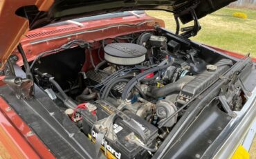 Ford-F-150-1979-Medium-Vegaro-And-Cream-Medium-Vegaro-And-Plaid-14