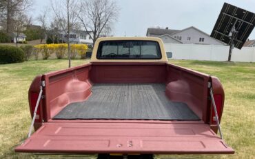 Ford-F-150-1979-Medium-Vegaro-And-Cream-Medium-Vegaro-And-Plaid-8