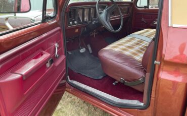 Ford-F-150-1979-Medium-Vegaro-And-Cream-Medium-Vegaro-And-Plaid-9
