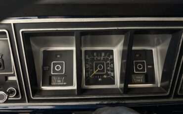 Ford-F-150-1979-Pickup-Truck-27