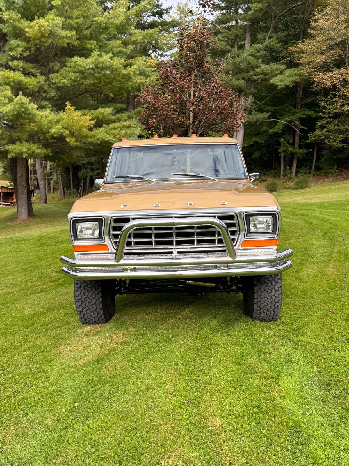 Ford-F-150-1979-Standard-Cab-Pickup-2