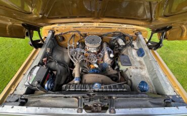 Ford-F-150-1979-Standard-Cab-Pickup-28