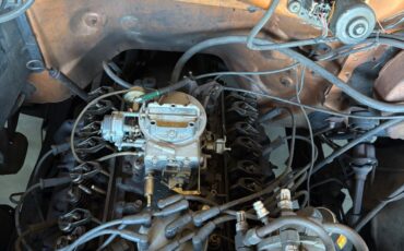 Ford-F-150-1982-Standard-Cab-Pickup-4