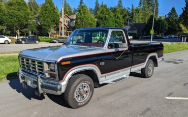 Ford-F-150-1985-Standard-Cab-Pickup-2