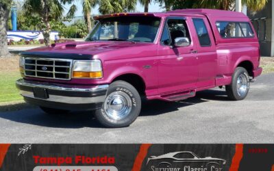 Ford F-150 1993 Pickup (Truck)