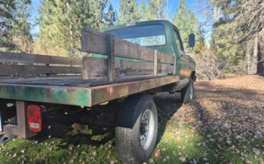 Ford-F-250-1973-Standard-Cab-Pickup-2