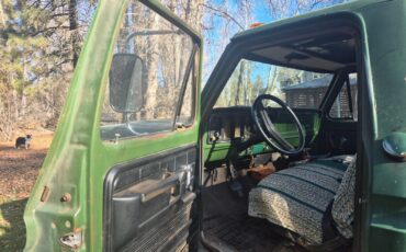 Ford-F-250-1973-Standard-Cab-Pickup-3