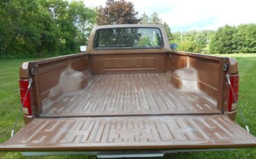 Ford-F-250-1986-Standard-Cab-Pickup-19