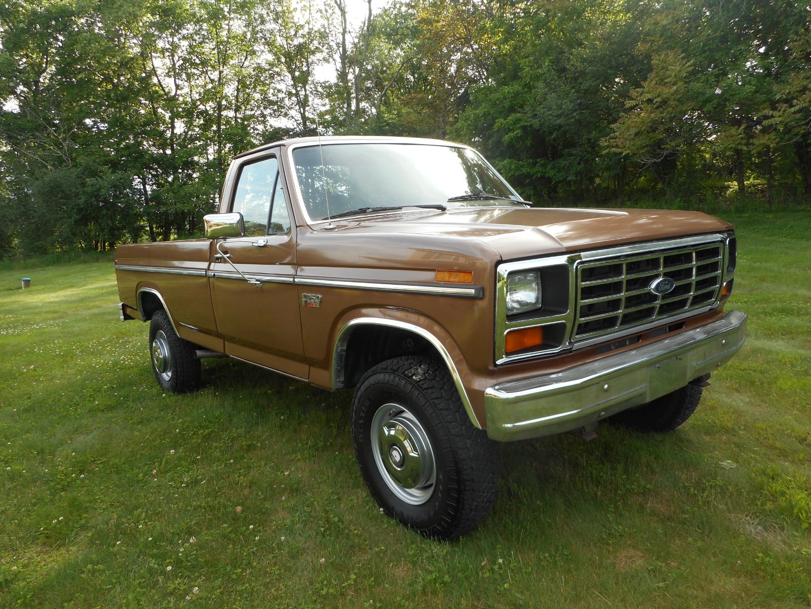 Ford-F-250-1986-Standard-Cab-Pickup-6