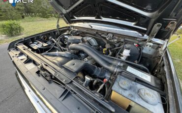 Ford-F-250-1989-Standard-Cab-Pickup-37