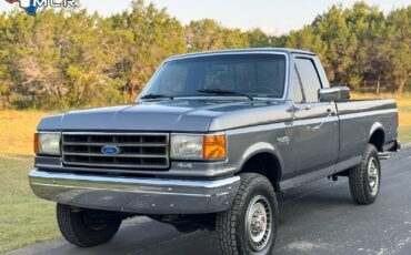 Ford-F-250-1989-Standard-Cab-Pickup-39