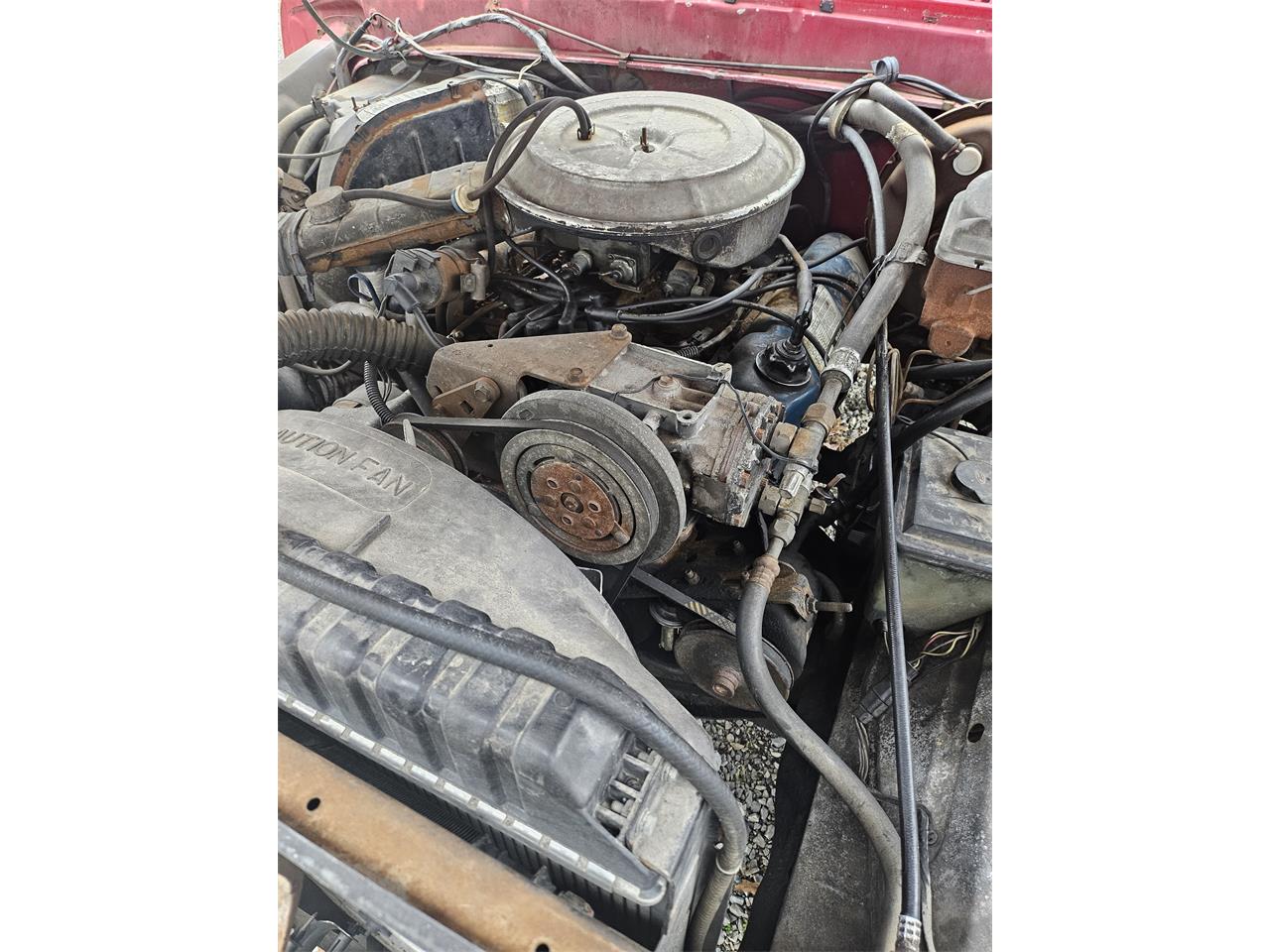 Ford-F250-1977-Red-Red-8