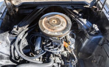 Ford-Falcon-1964-White-and-gray-Black-53