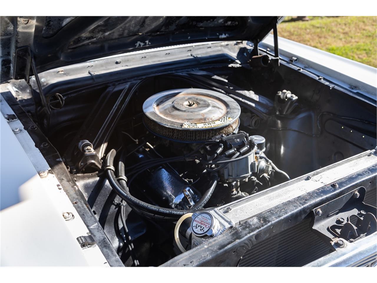 Ford-Falcon-1964-White-and-gray-Black-55