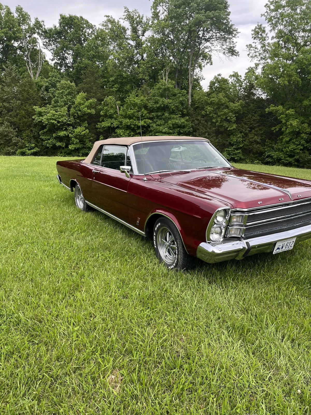 Ford-Galaxie-1966-Burgundy-Black-1