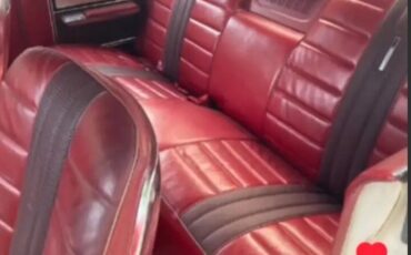 Ford-Galaxie-1966-Coupe-4